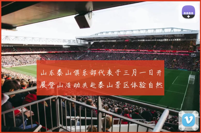 山东泰山俱乐部代表于三月一日开展登山活动共赴泰山景区体验自然之美